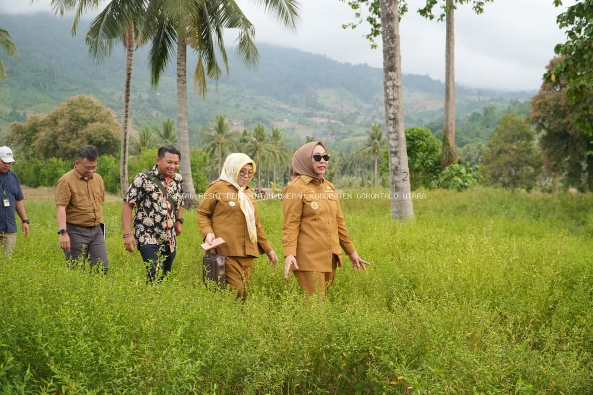 Perkuat Ketahanan Pangan, Pemkab Gorontalo Utara Bersama Kementan RI dan PT Berdikari Survei Lokasi Hilirisasi Ternak Ayam di Sumalata Timur